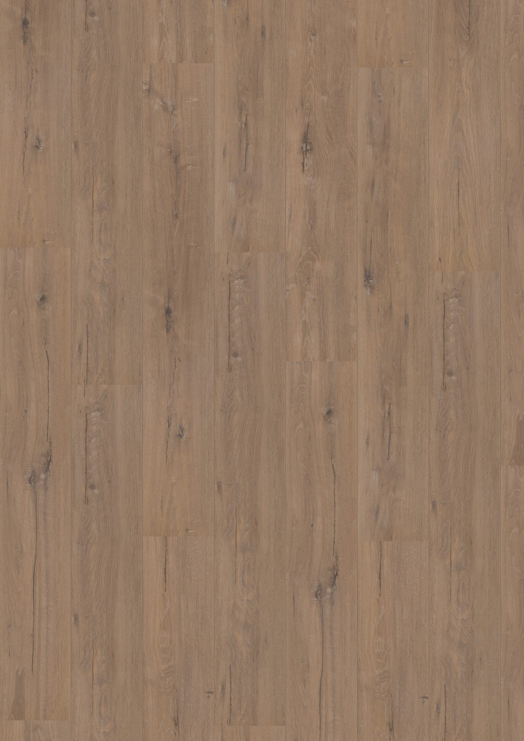 Hoomline Royal V2 Toscane Eik 902