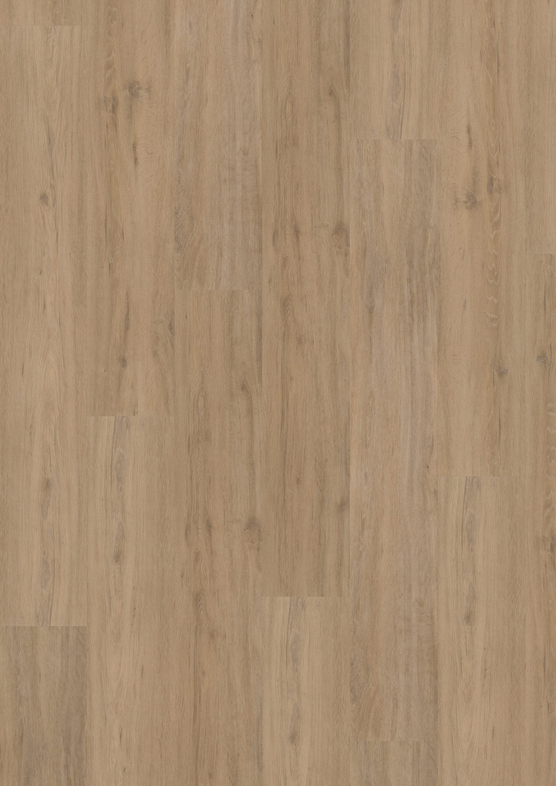 Hoomline Fusion Superior XL Gotham Oak Natural (Dryback)