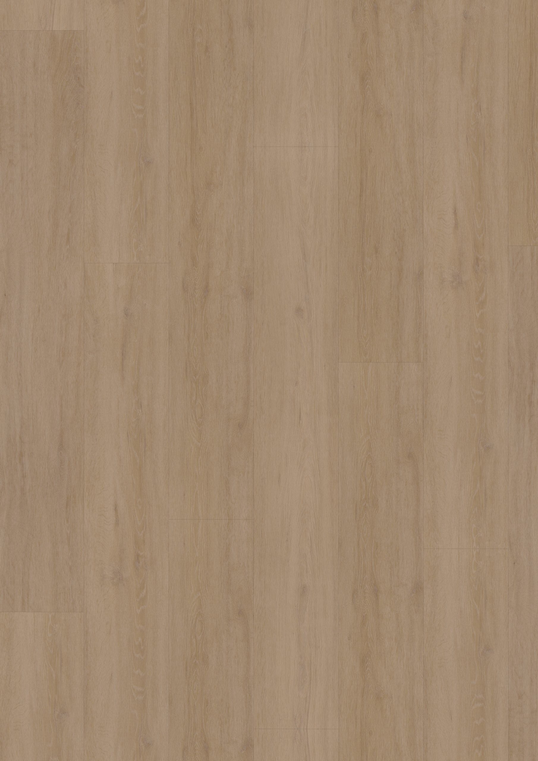 Hoomline Fusion Superior XL Gotham Oak Flax (Dryback)