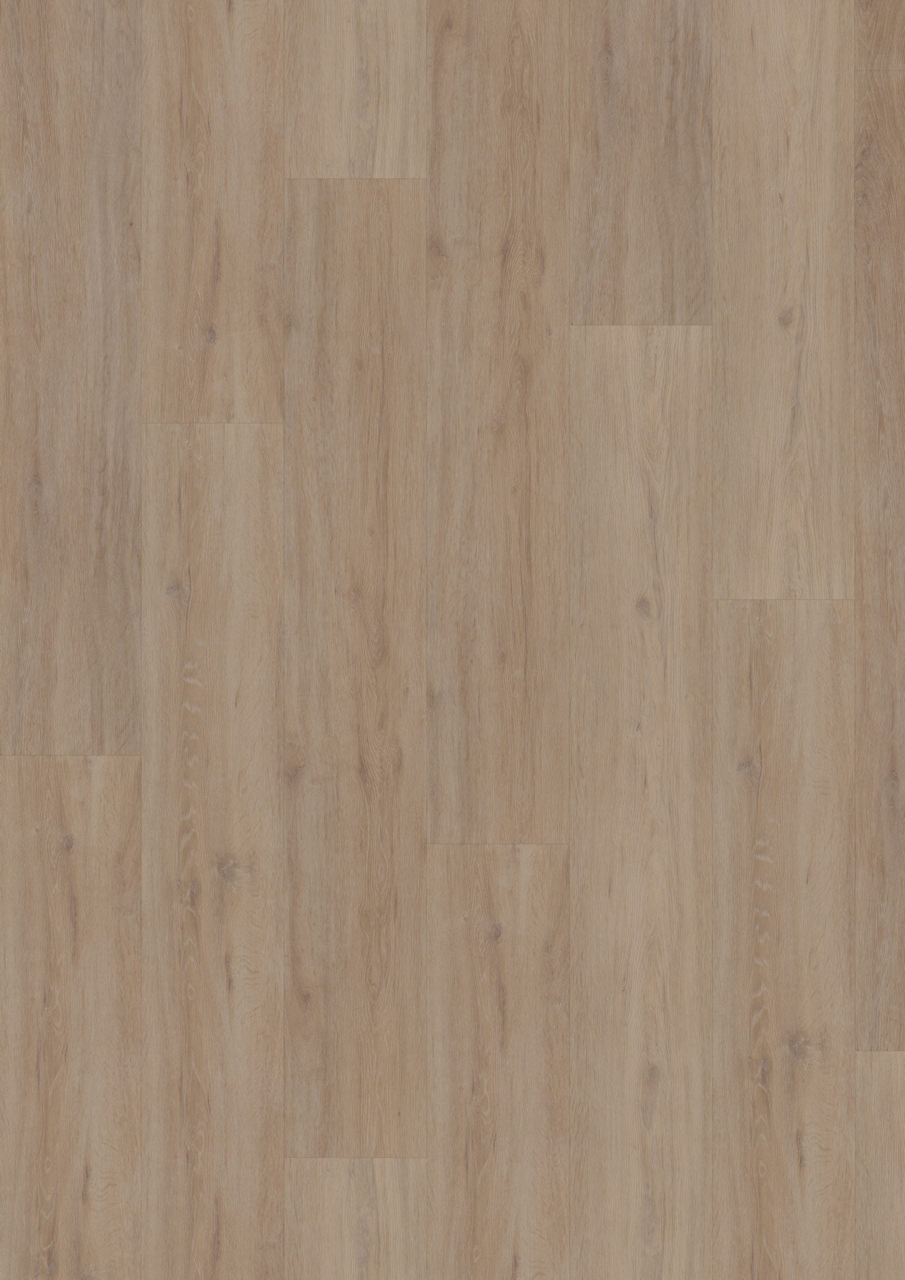 Hoomline Fusion Superior XL Gotham Oak Oiled (Dryback)