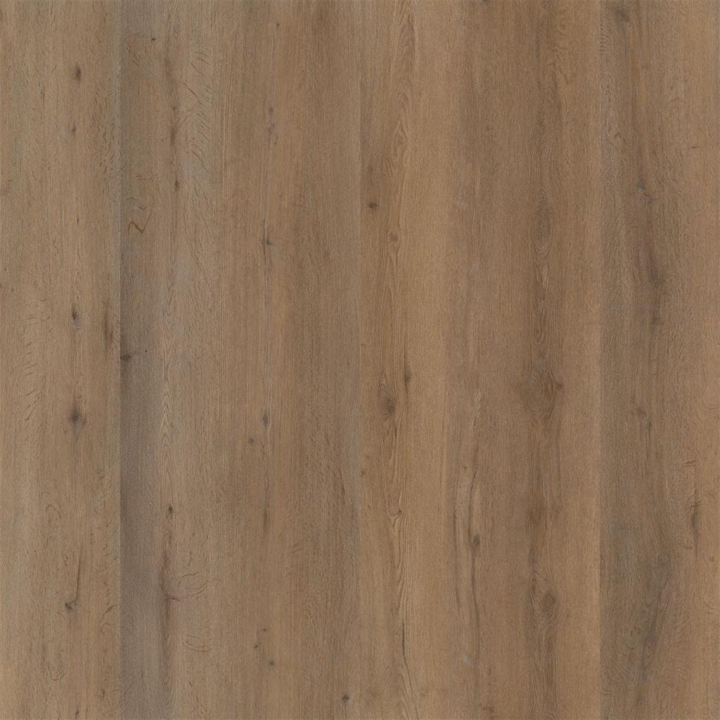Leyton dryback smoky