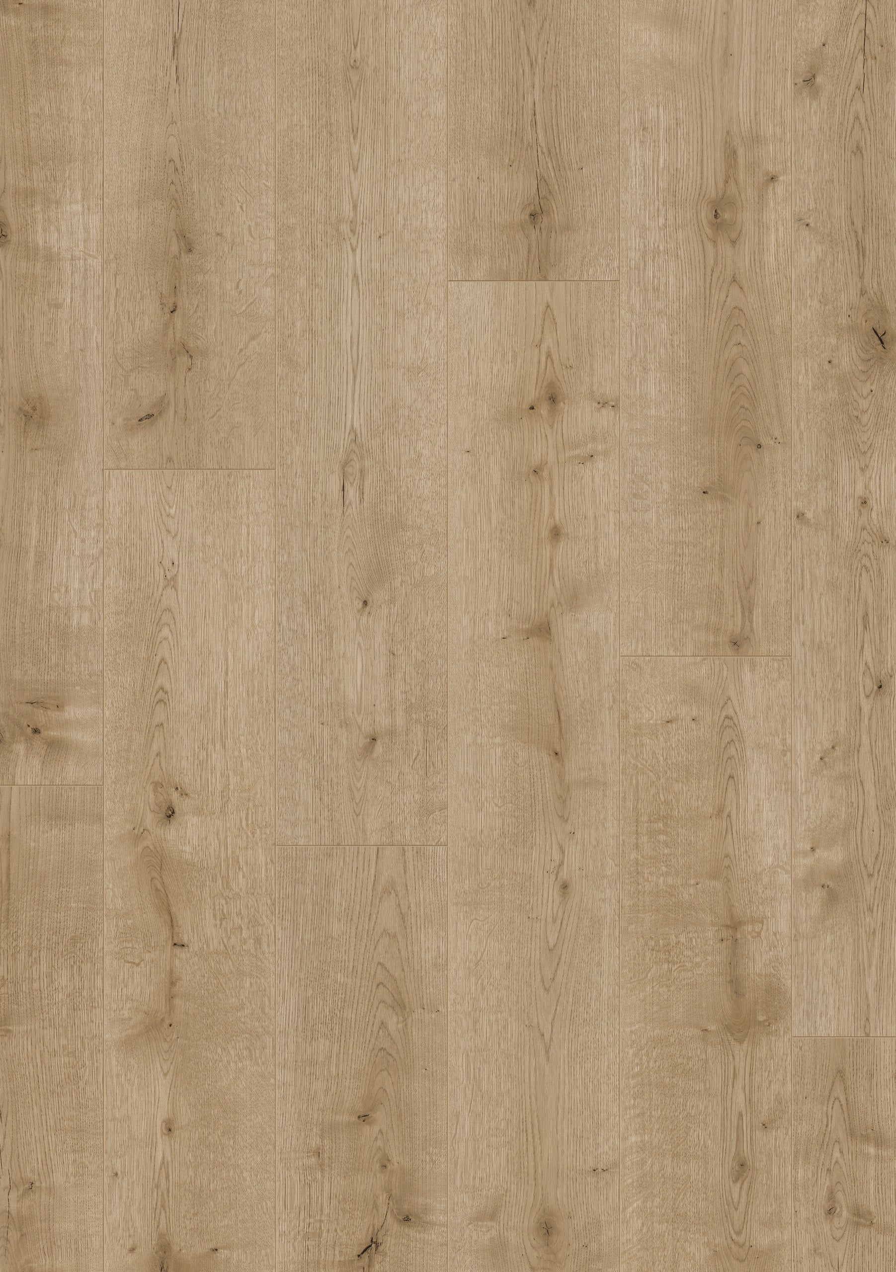 Hoomline Optima V4 HOBART 837