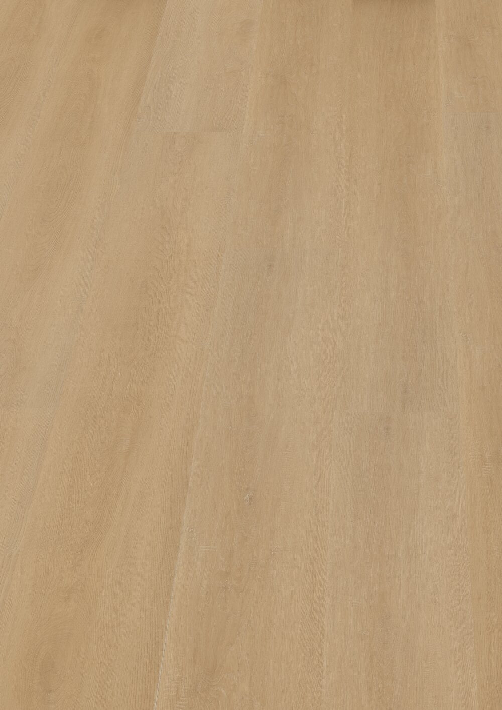 Hoomline Prestige Dryback plank Cannes 5052