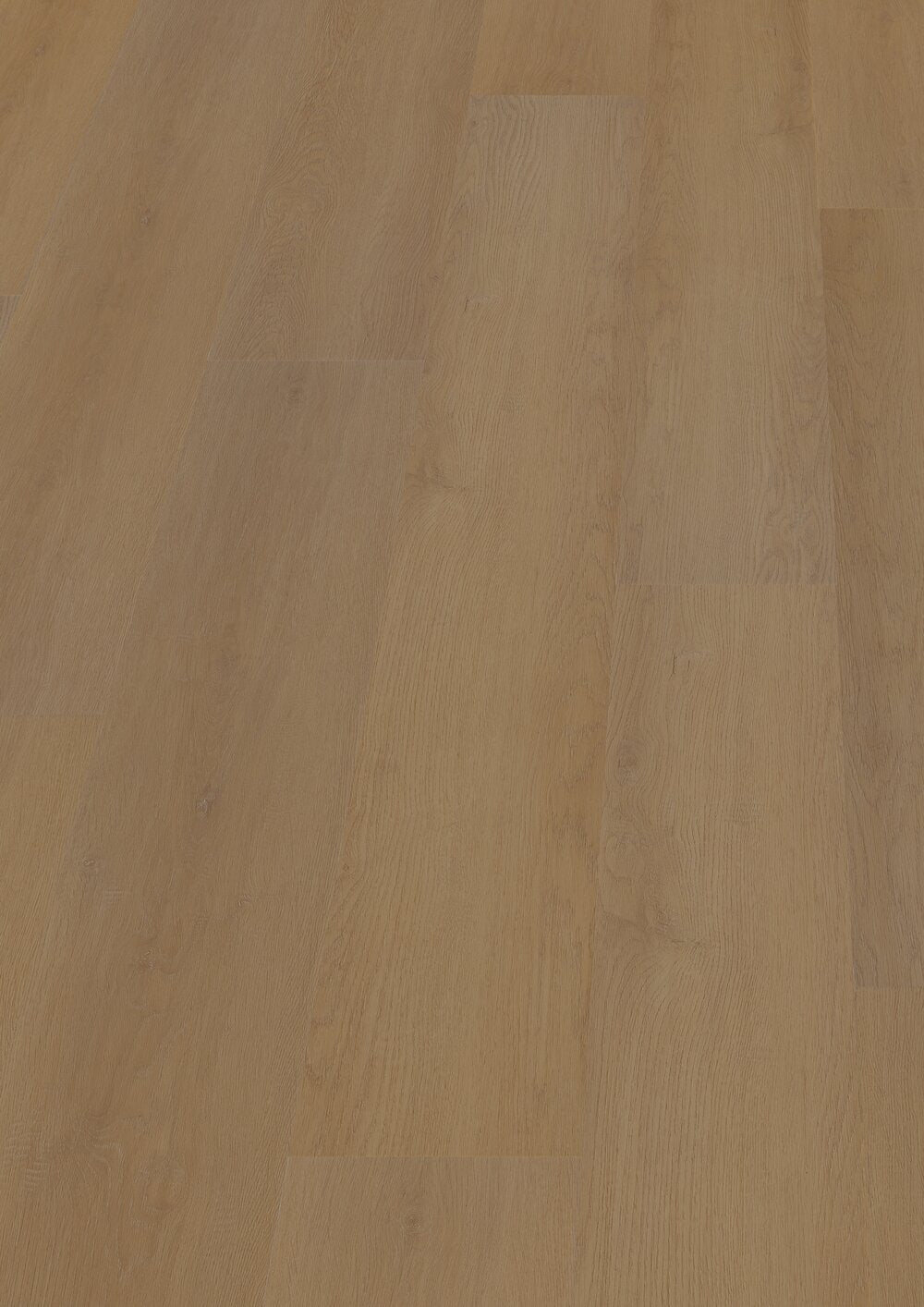 Hoomline Prestige Dryback plank Nice 5053