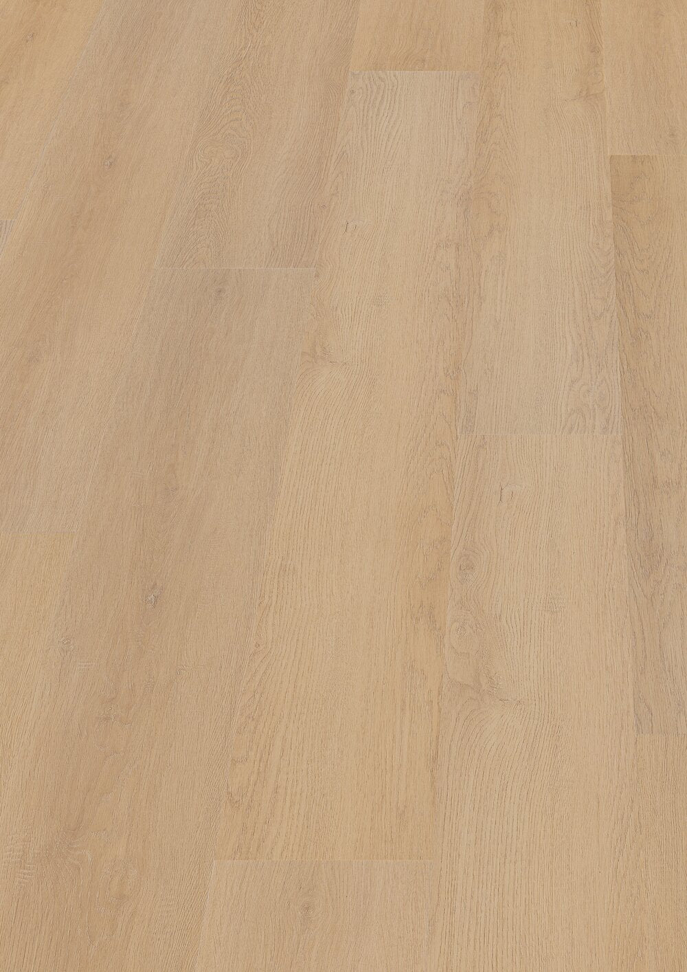 Hoomline Prestige Dryback plank Monaco 5066