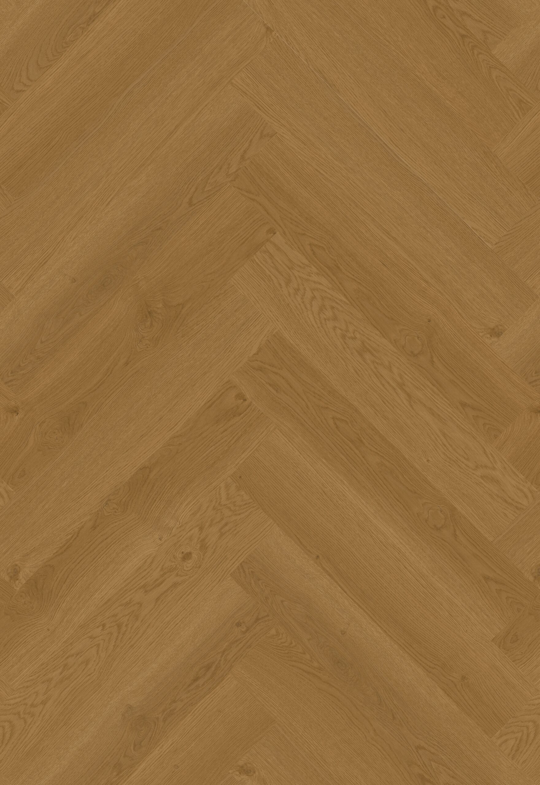 Hoomline Elegance Dryback Visgraat Leeuw 51317