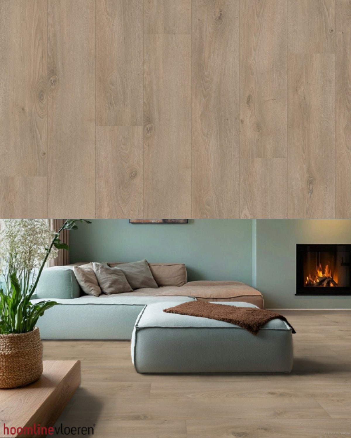 Hoomline Royal V2 Campania 106 - Texture and Room View
