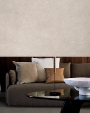 Basic click SRC dark grey - Texture and Room View